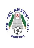 Nogometna utakmica